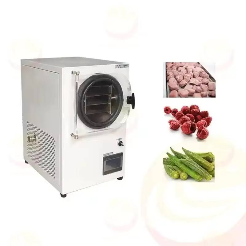 Macchina per liofilizzazione P - Vacuum Chamber Small recensione e prezzo